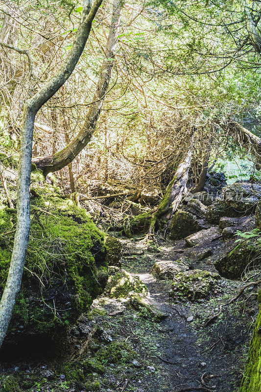 在圣安妮山(Mont-Sainte-Anne)上，有一条名为“Sentier de la forêt magque”(魔法森林之路)的徒步小径，位于魁北克东部加斯比半岛的Percé小镇上。